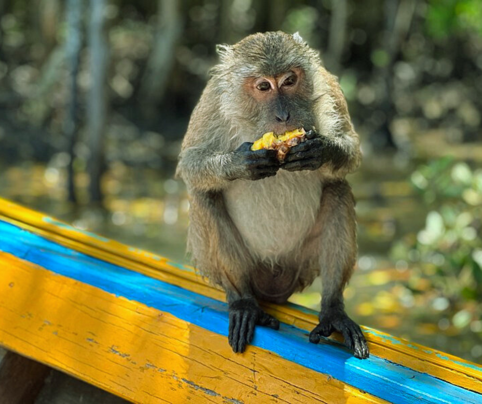 tour-listing-details-slide