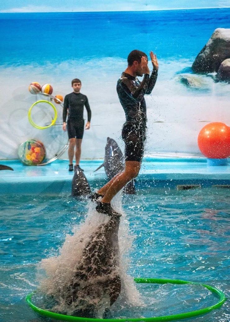 tour-listing-details-slide