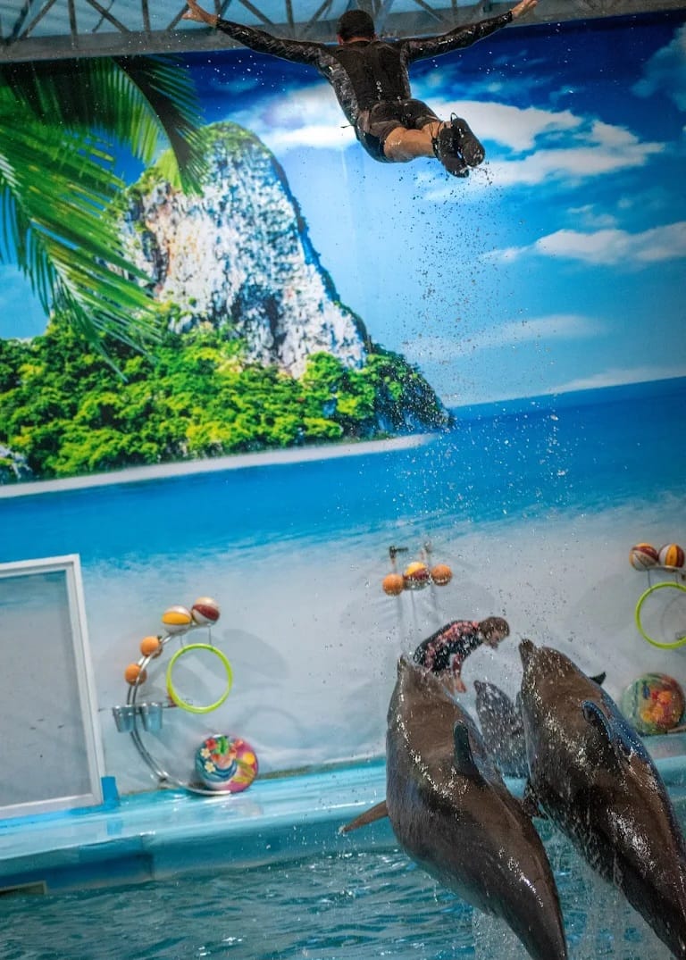 tour-listing-details-slide