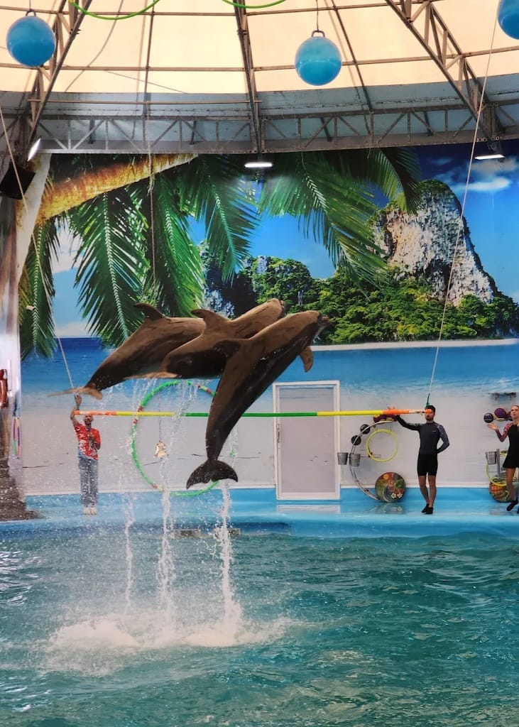 tour-listing-details-slide