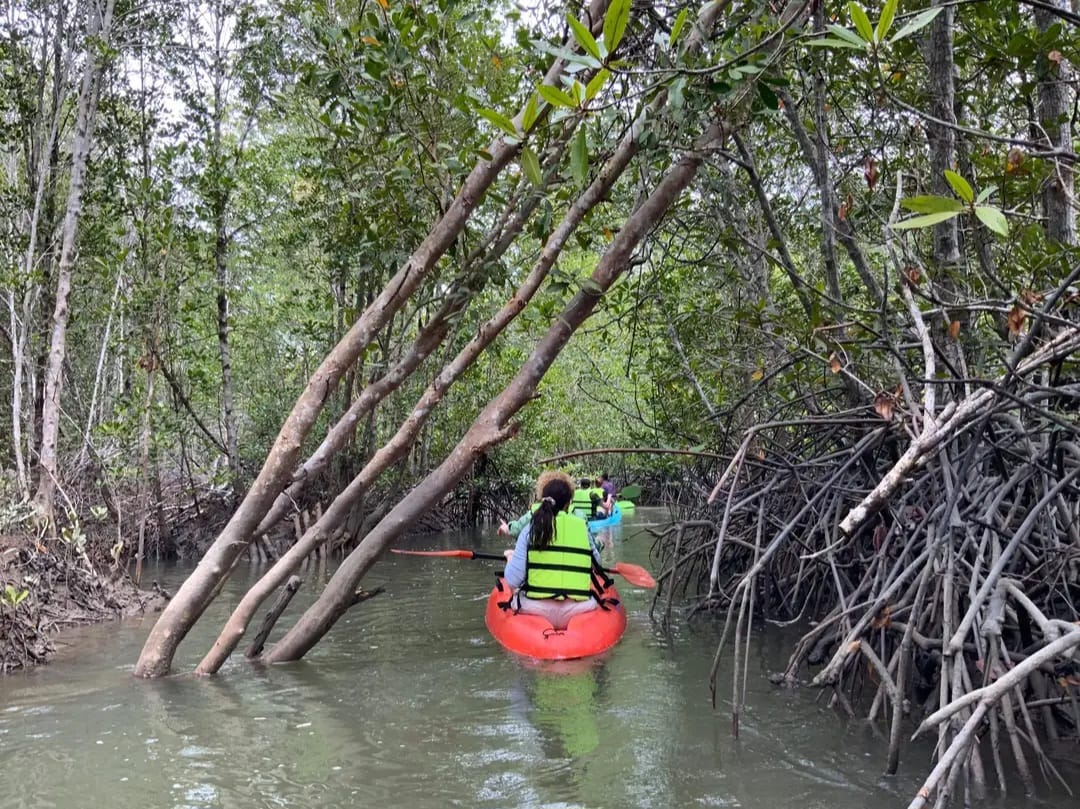 tour-listing-details-slide