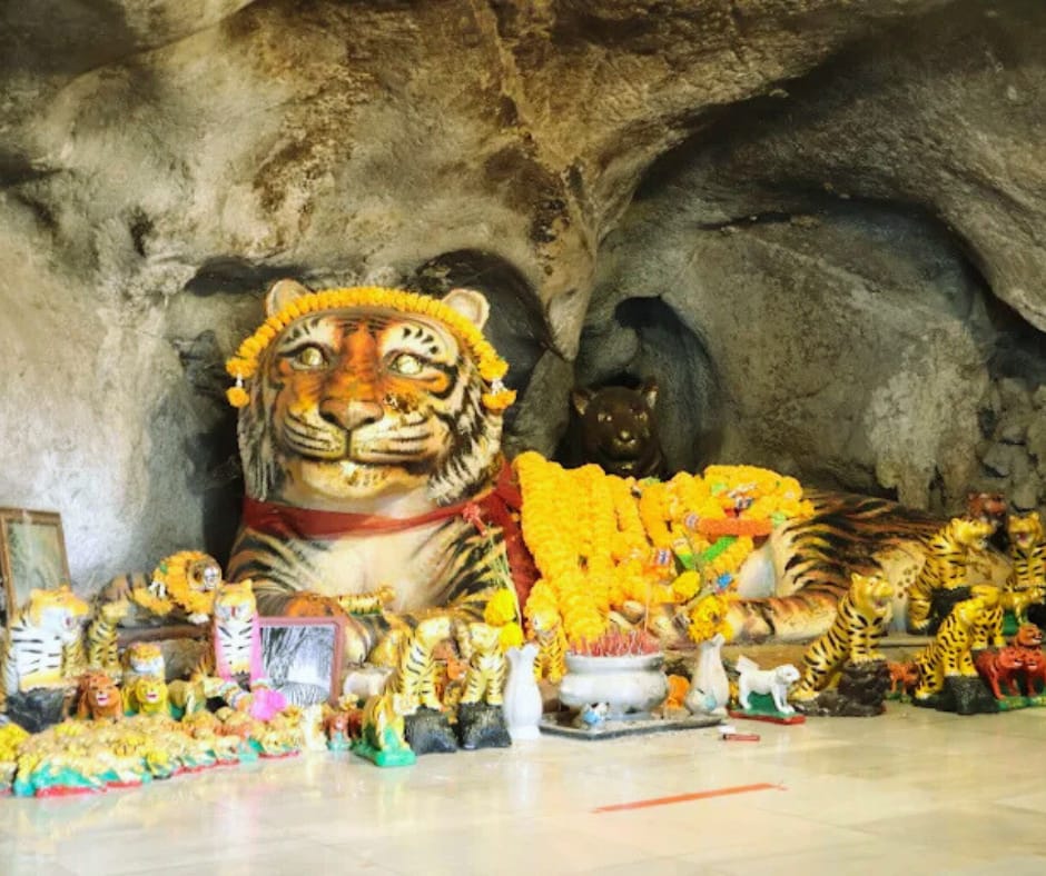 tour-listing-details-slide