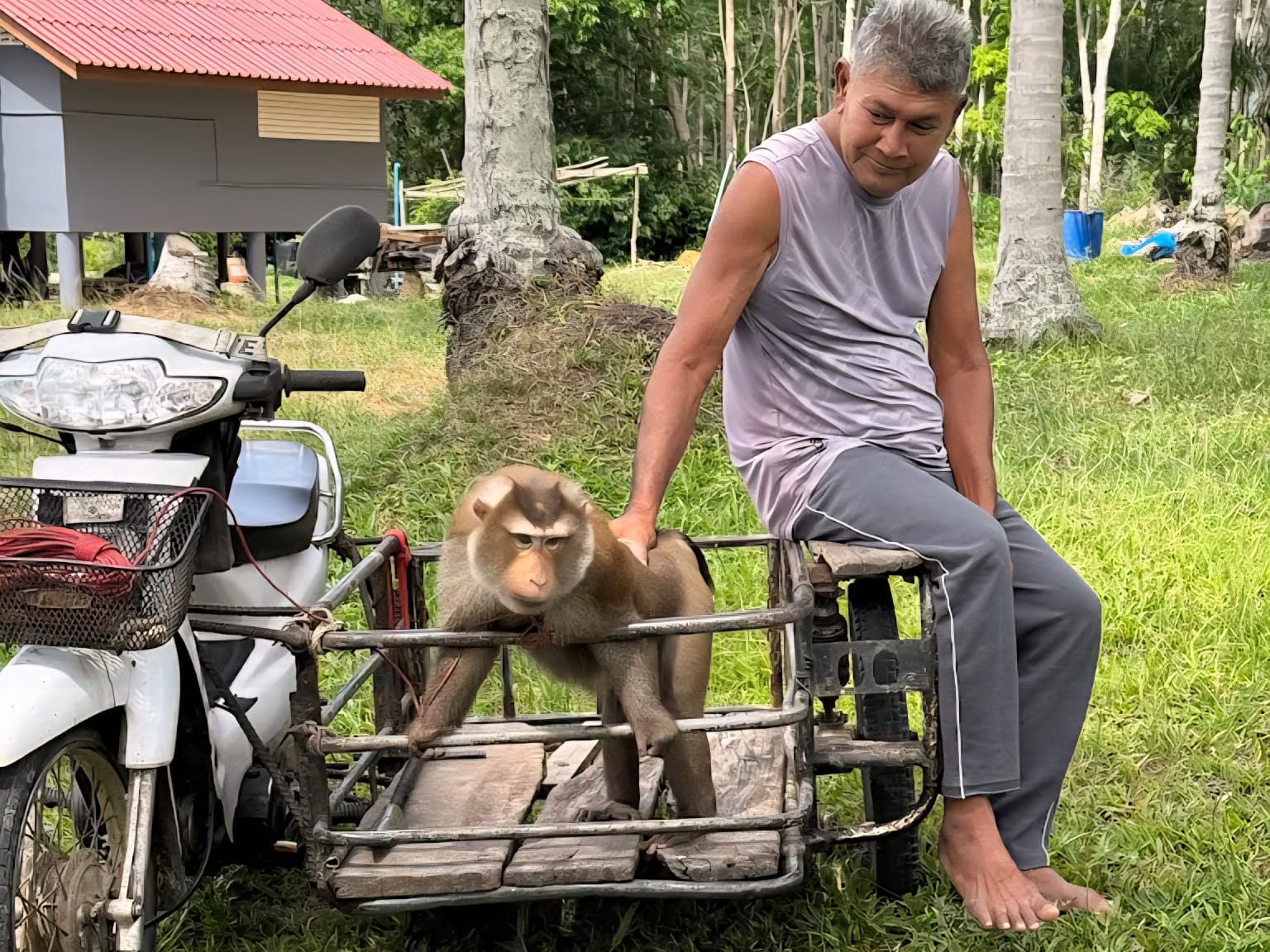 tour-listing-details-slide