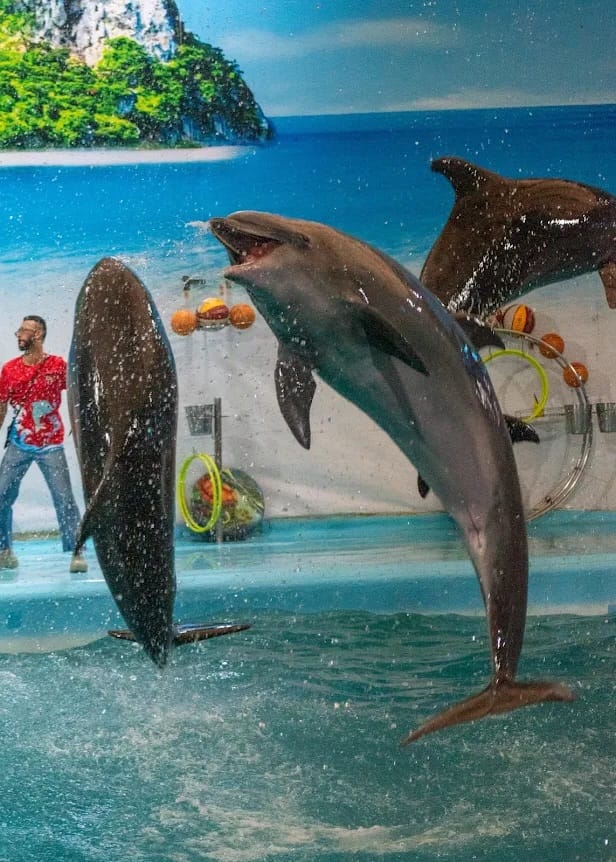 tour-listing-details-slide