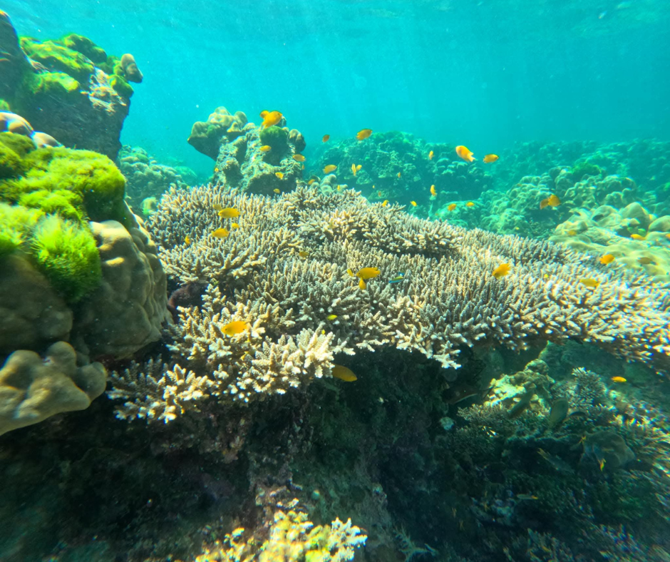 tour-listing-details-slide