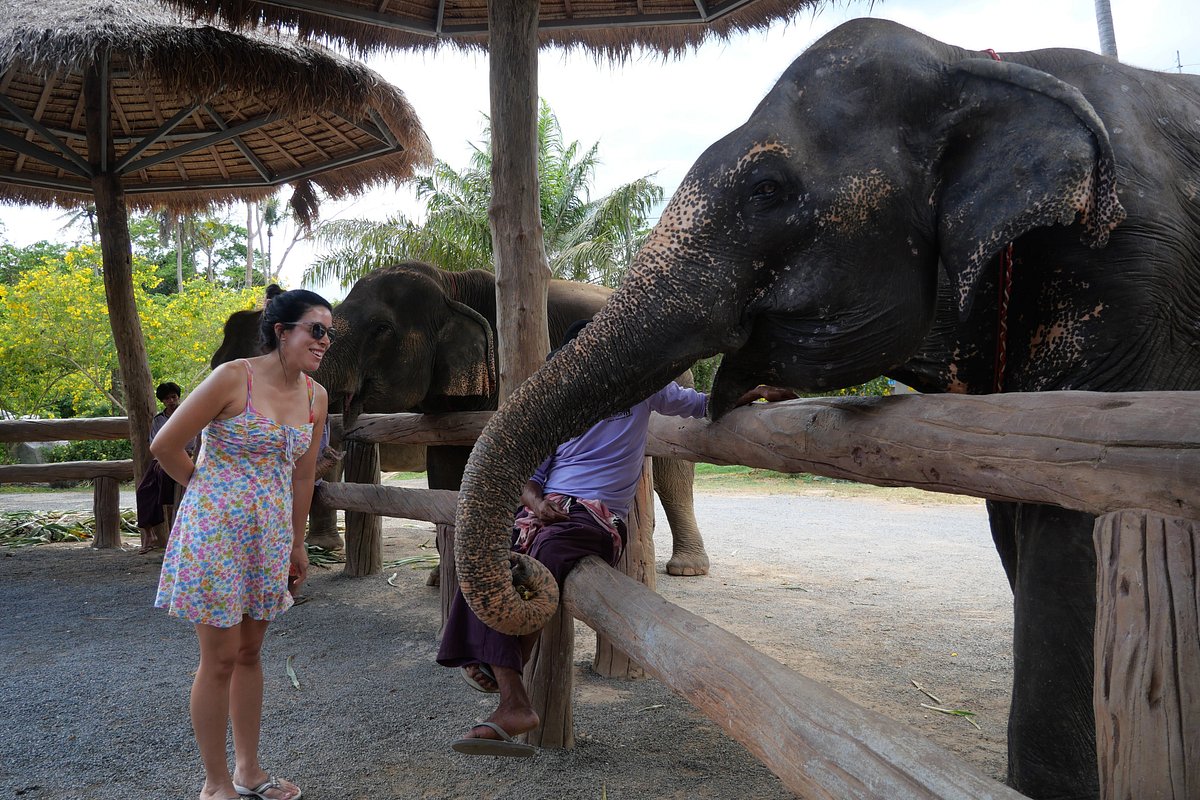 tour-listing-details-slide