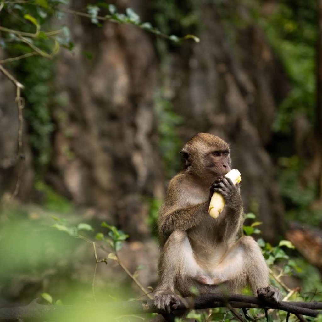 tour-listing-details-slide