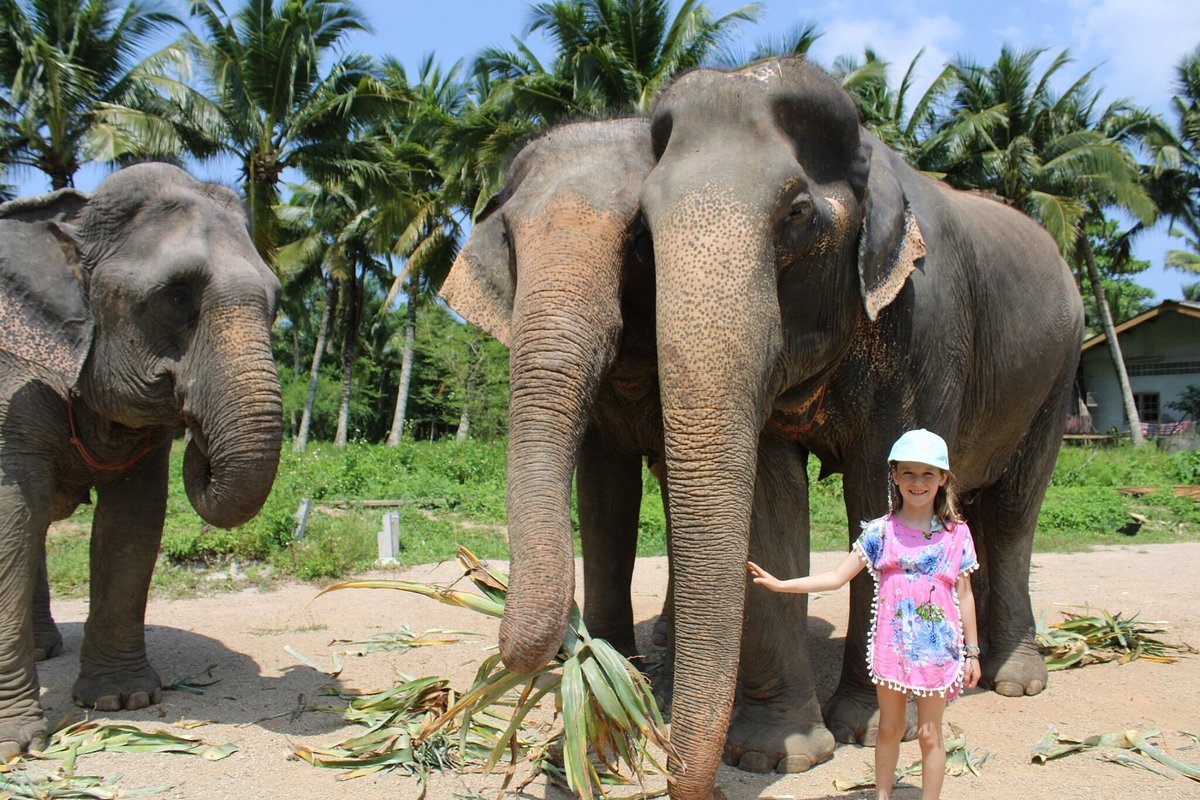 tour-listing-details-slide