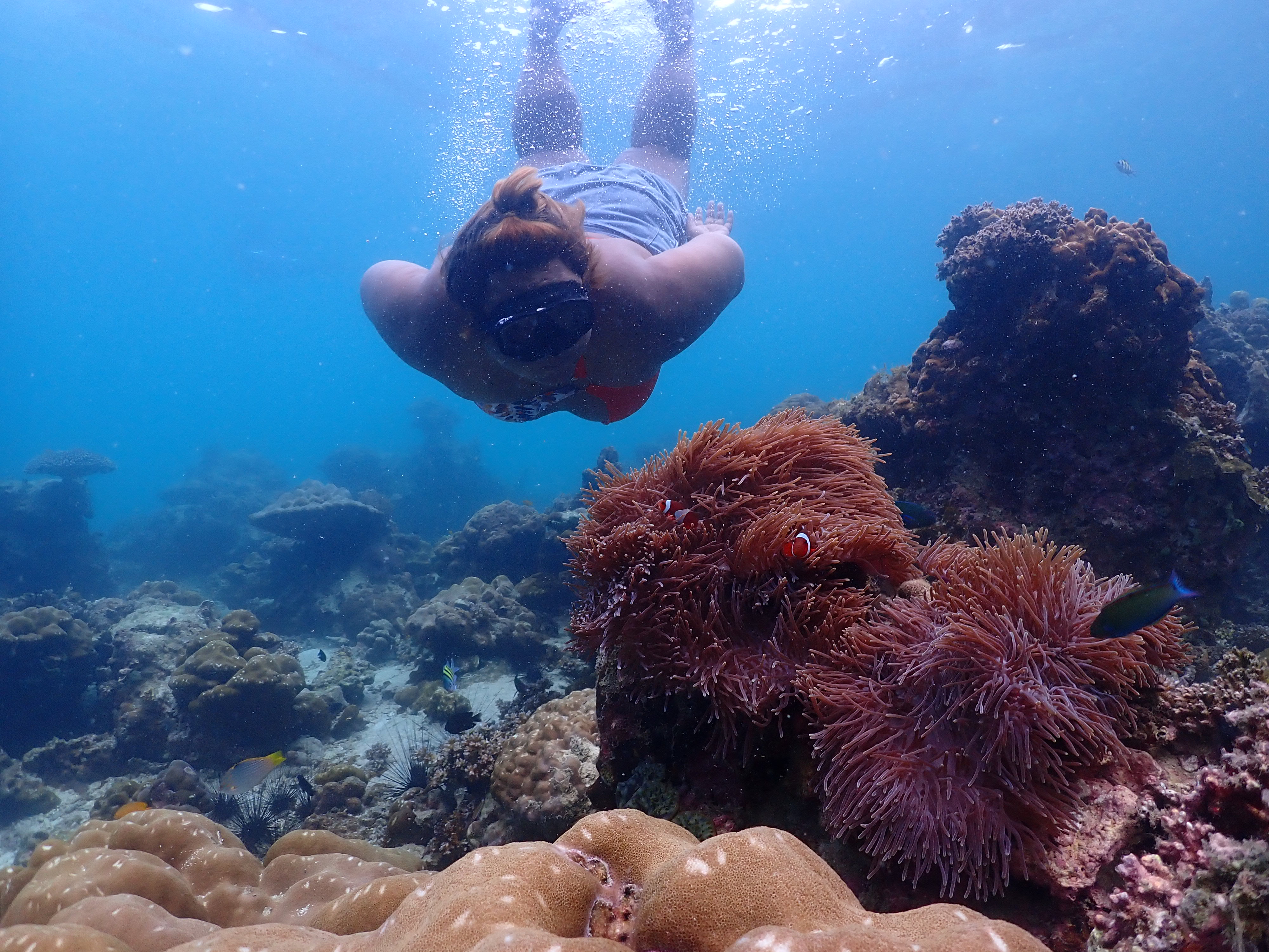 tour-listing-details-slide