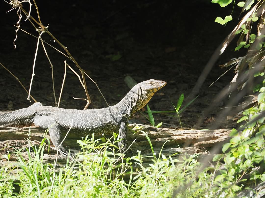 tour-listing-details-slide