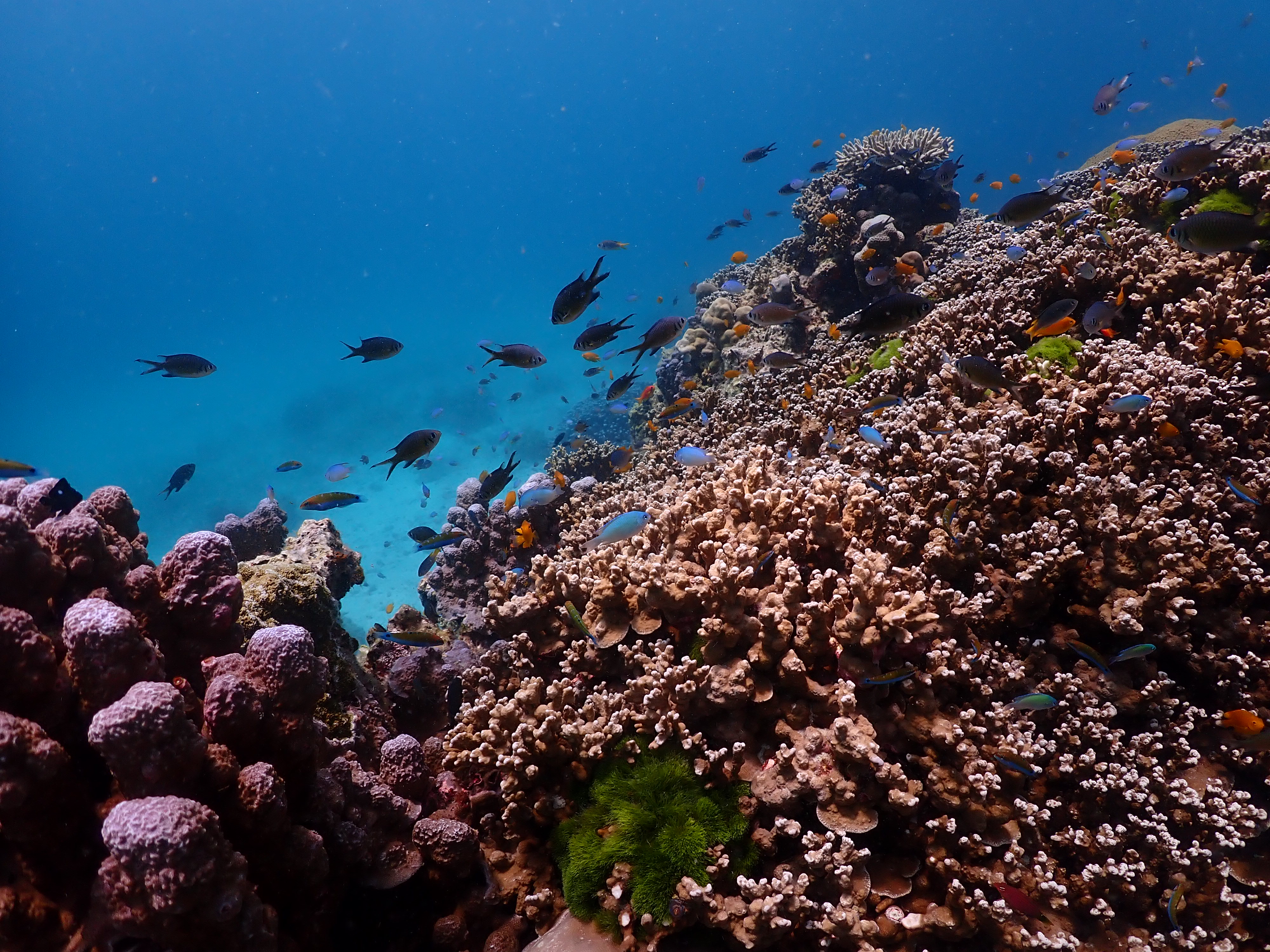 tour-listing-details-slide