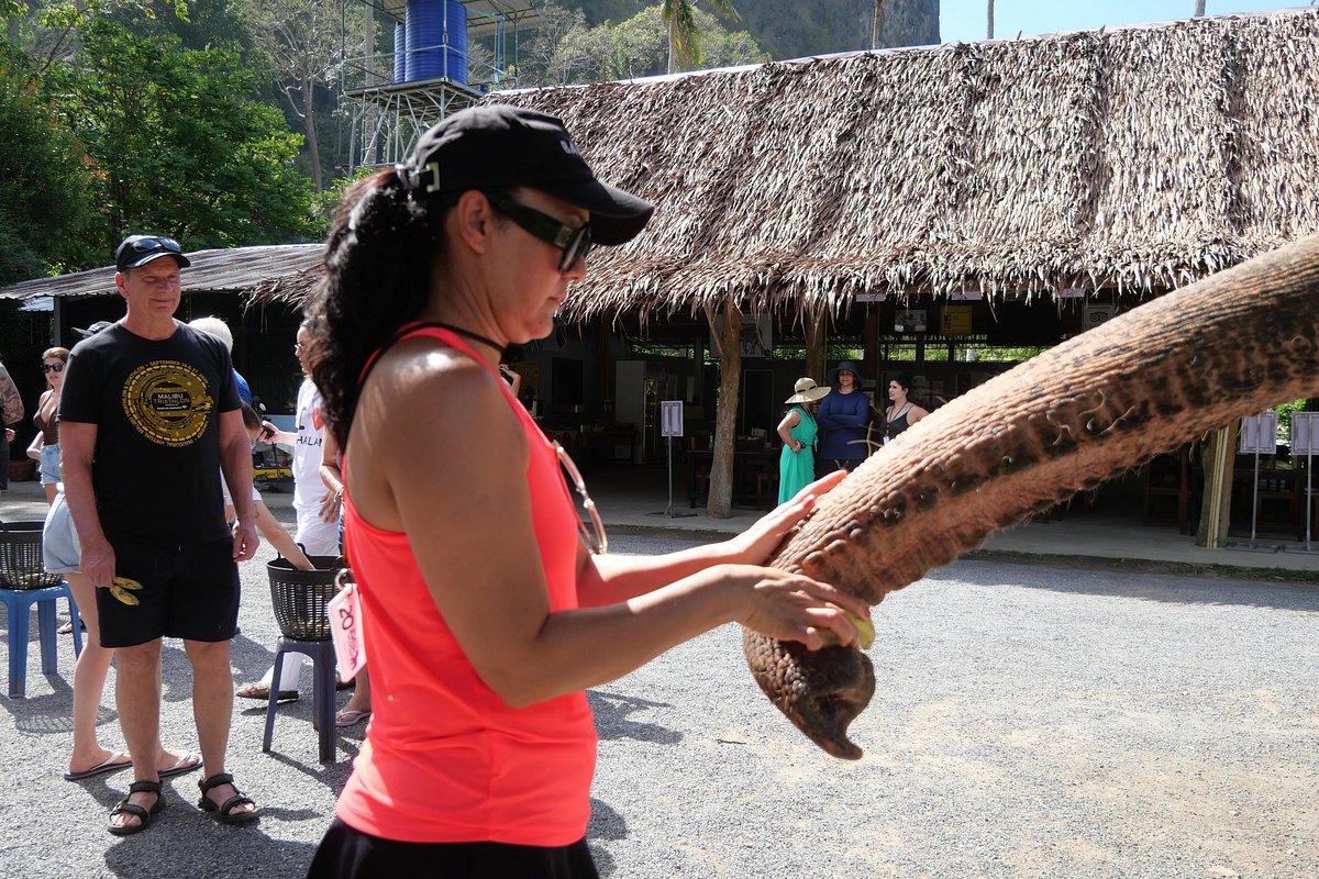 tour-listing-details-slide