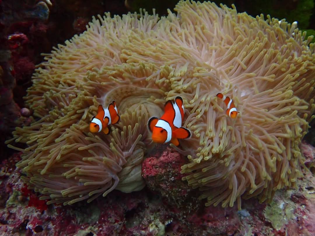 tour-listing-details-slide