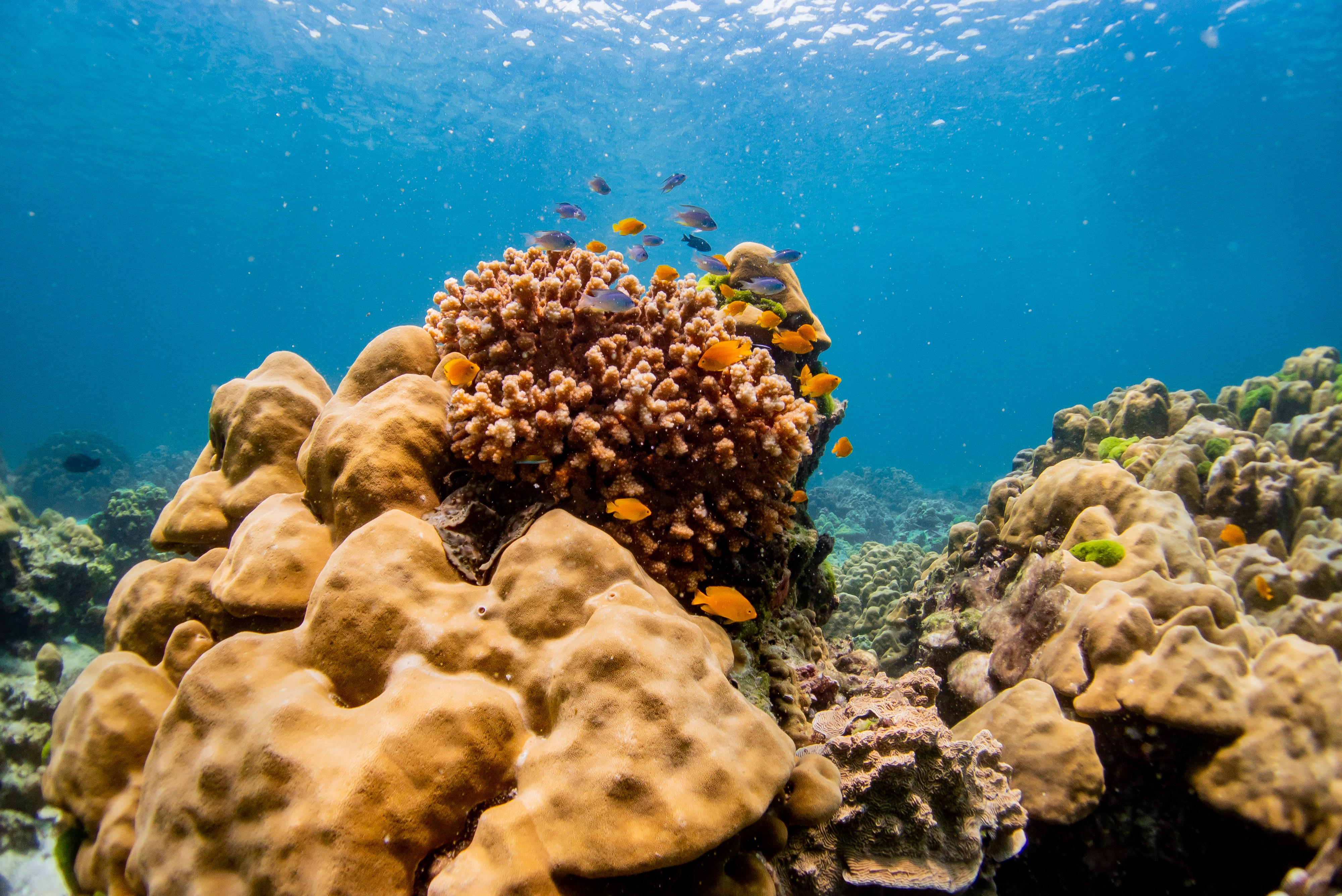 tour-listing-details-slide