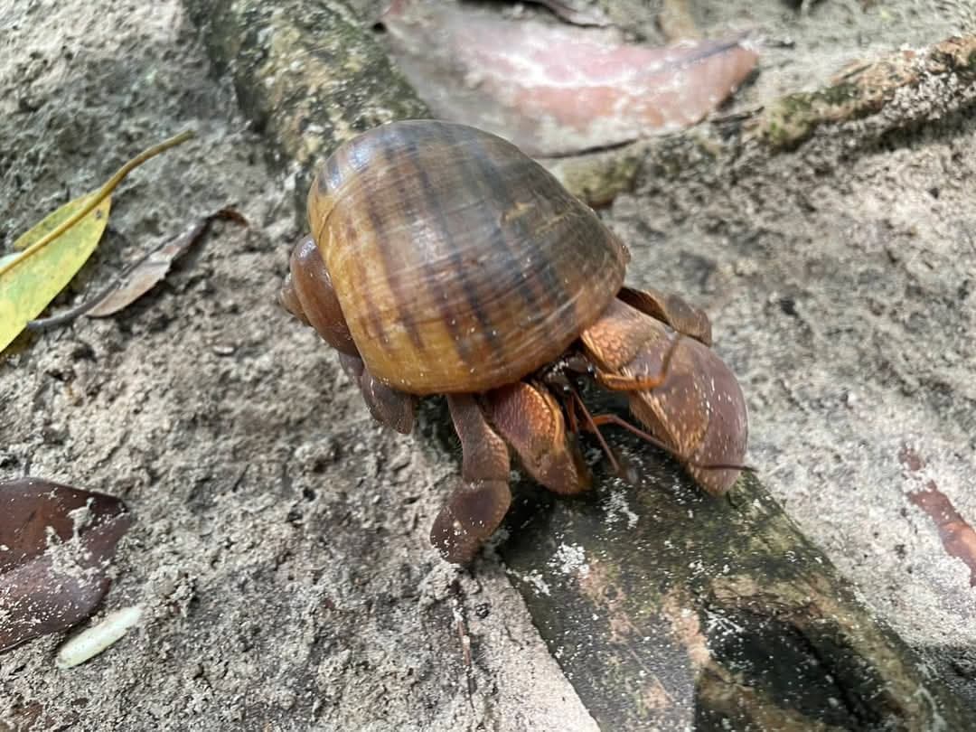 tour-listing-details-slide