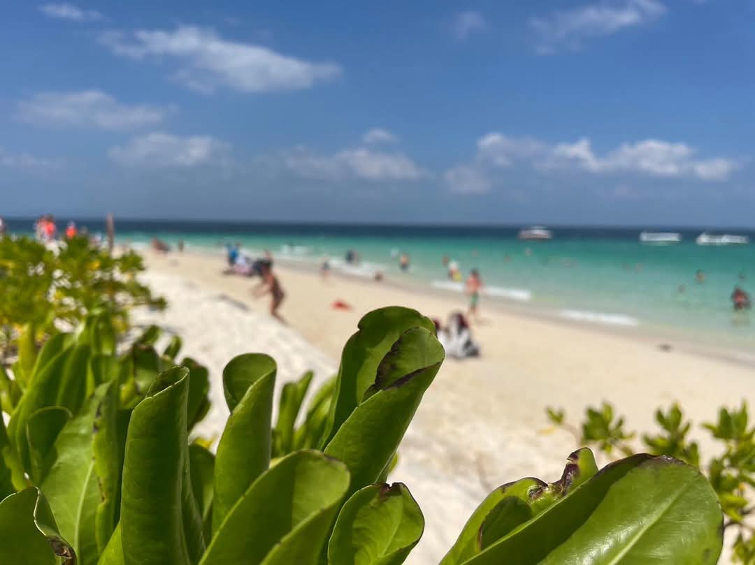 tour-listing-details-slide