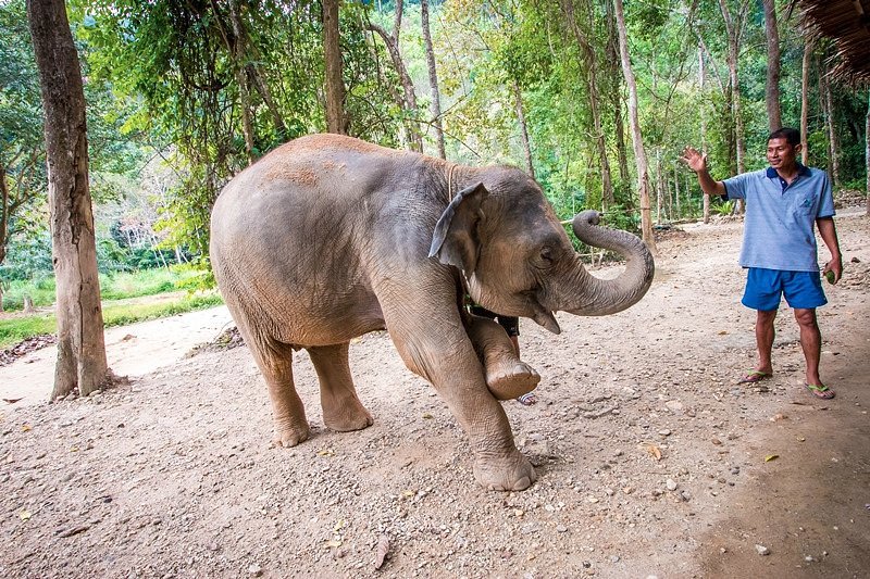 tour-listing-details-slide