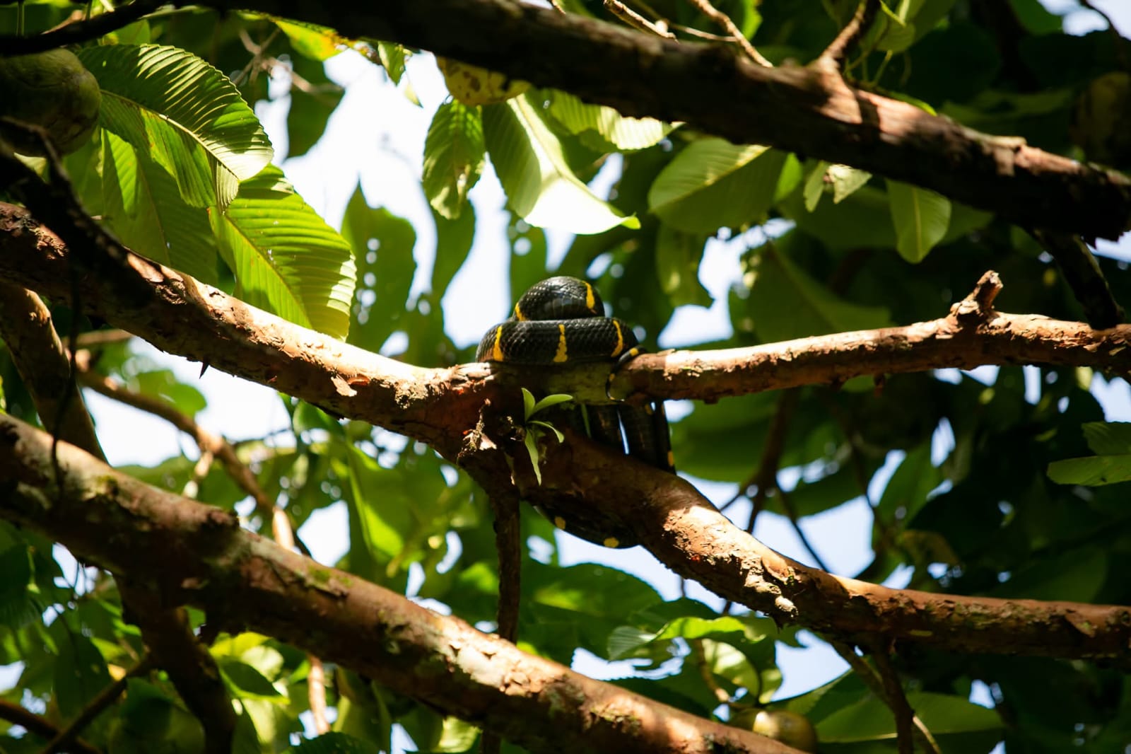 tour-listing-details-slide