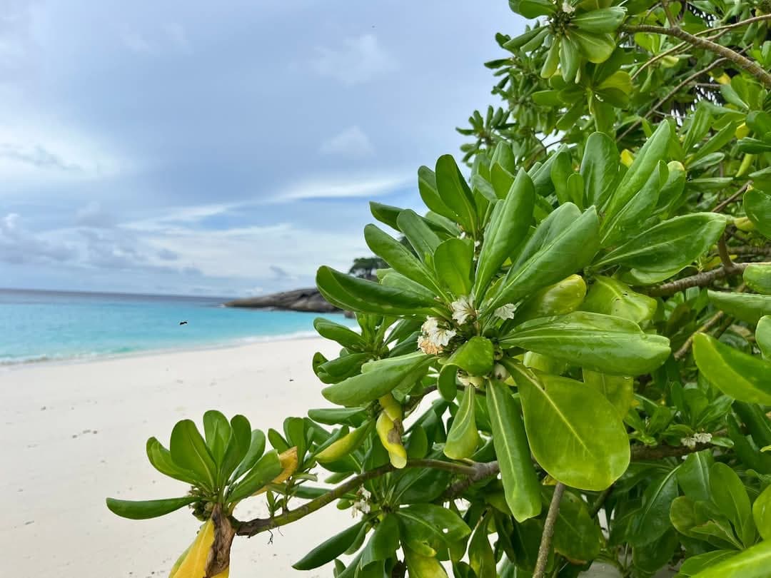 tour-listing-details-slide