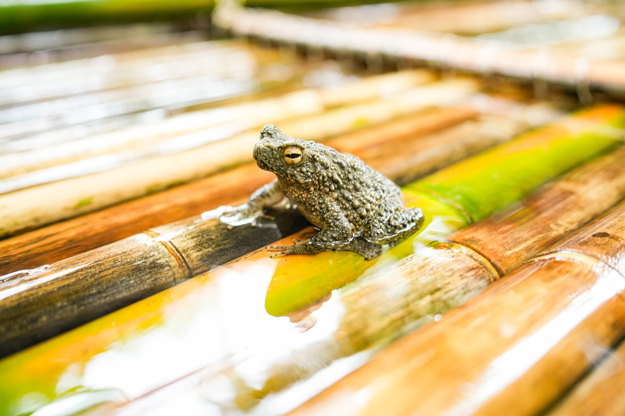 tour-listing-details-slide